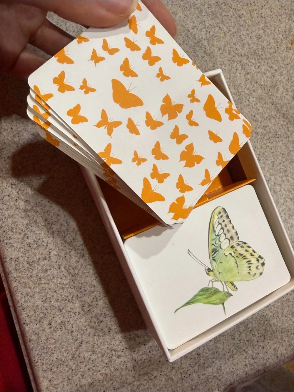 Butterfly Wings Matching Game - Multicolor